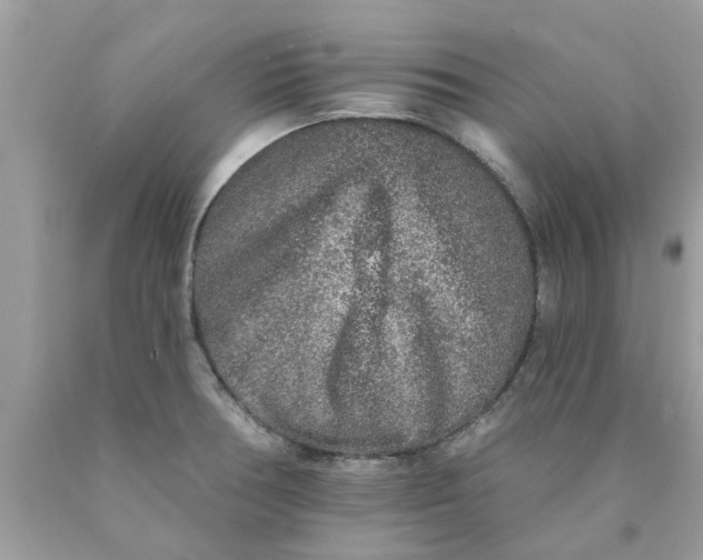 X0000089881378200707262201