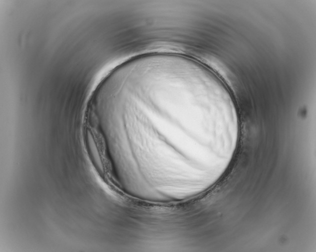 X0000089881379200707262201