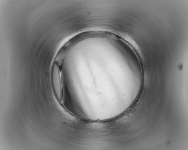 X0000089881380200707262201