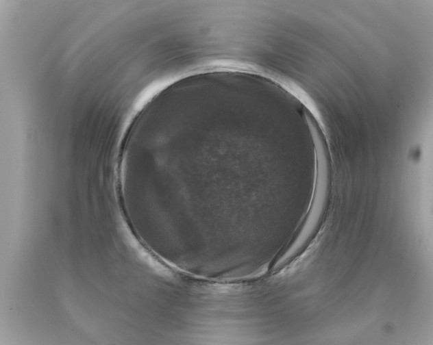 X0000089881381200707262201