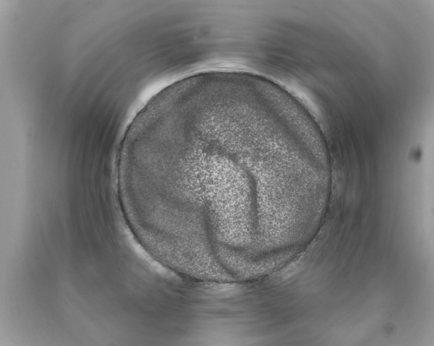 X0000089881382200707262201