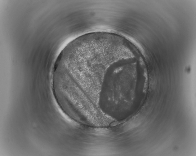 X0000089881383200707262201