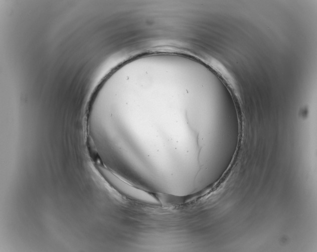 X0000089881384200707262201