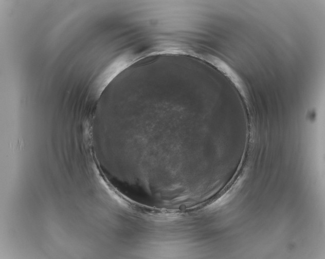 X0000089881385200707262201