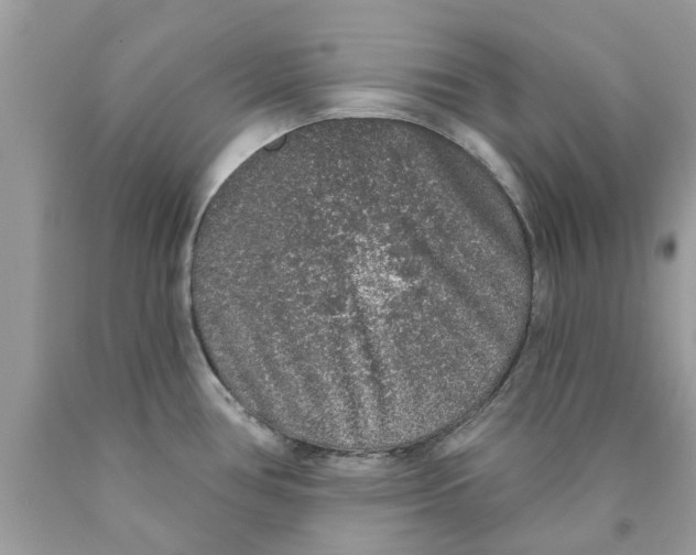 X0000089881386200707262201