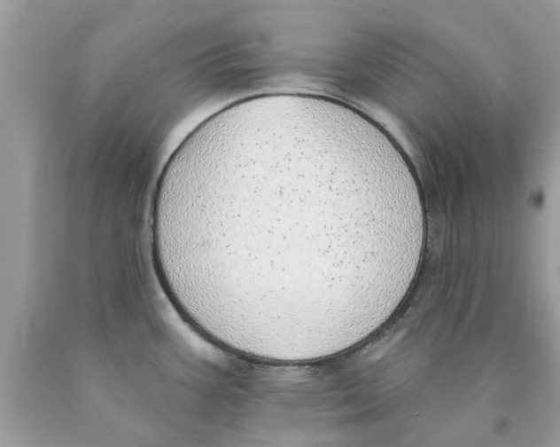 X0000089881387200707262201