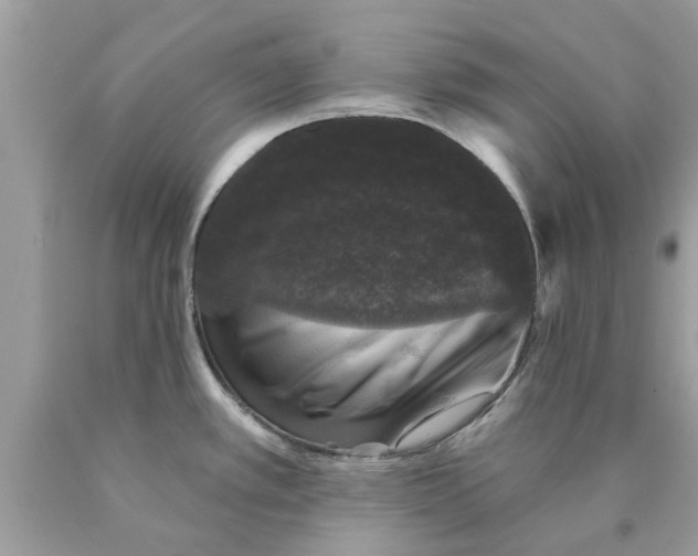 X0000089881389200707262201