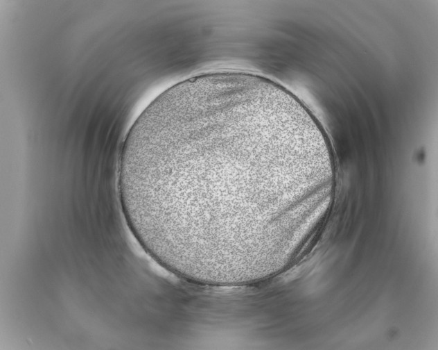 X0000089881390200707262201