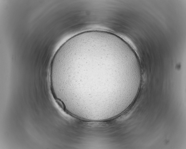 X0000089881391200707262201