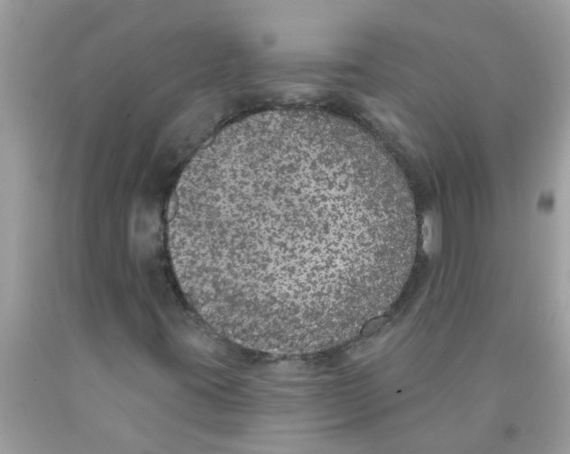 X0000089881395200707262200