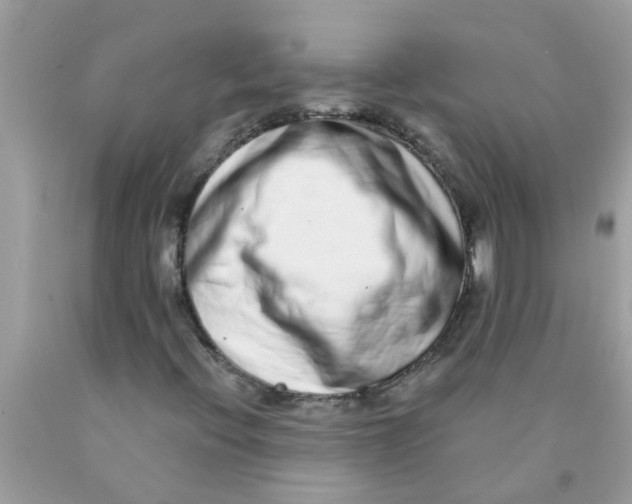 X0000089881396200707262200