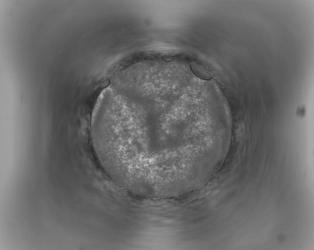 X0000089881397200707262200