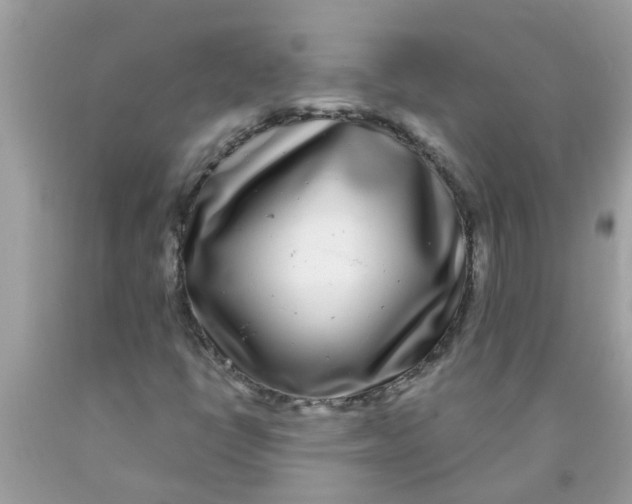 X0000089881398200707262200