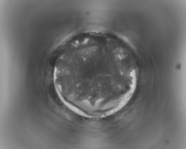 X0000089881399200707262200