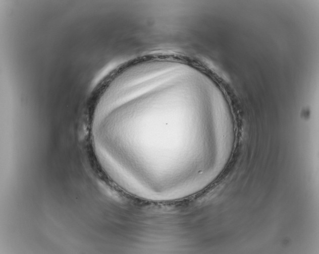 X0000089881400200707262200