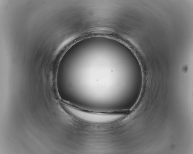 X0000089881402200707262200