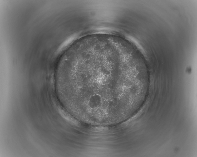 X0000089881403200707262200