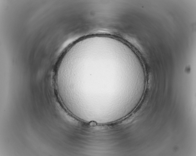 X0000089881404200707262200