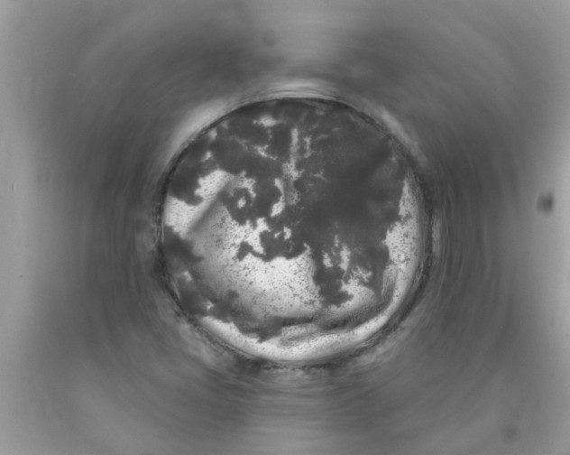 X0000089881405200707262201