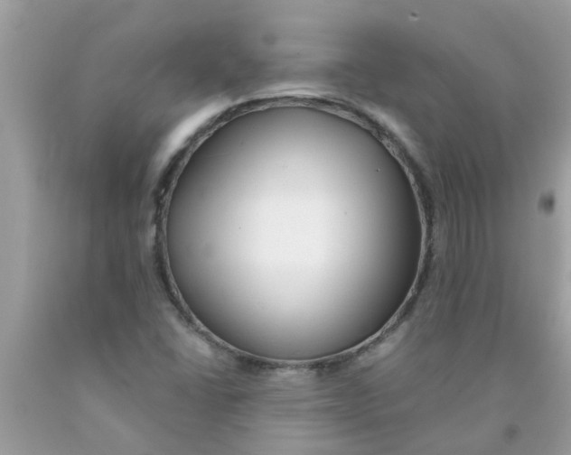 X0000089881406200707262201