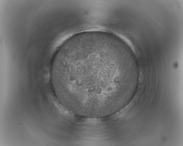 X0000089881407200707262201