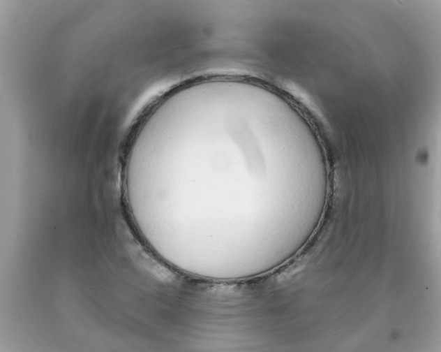 X0000089881408200707262201