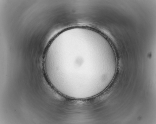 X0000089881412200707262201