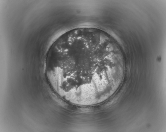 X0000089881413200707262201