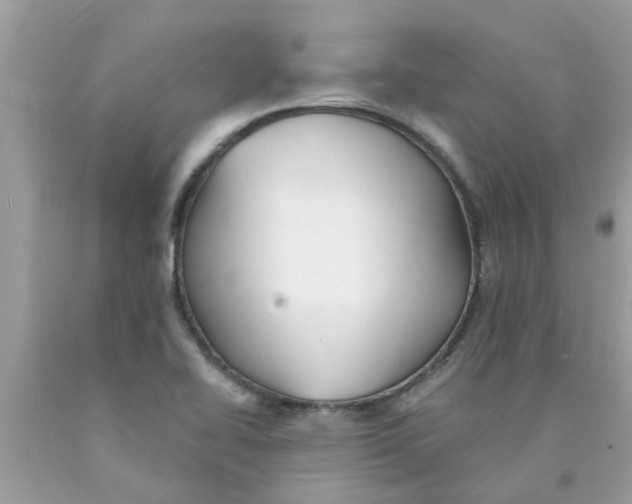 X0000089881414200707262201