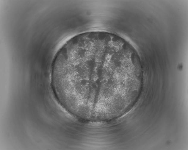 X0000089881415200707262201