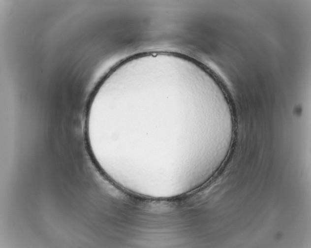 X0000089881416200707262201