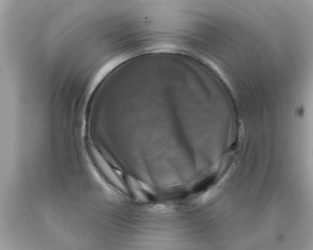 X0000089881418200707262201