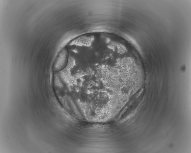 X0000089881419200707262201