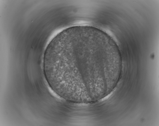 X0000089881421200707262201