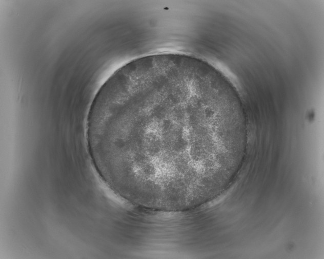 X0000089881423200707262201