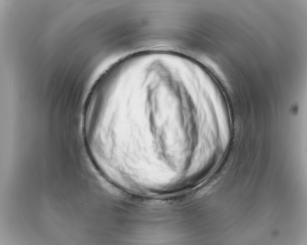 X0000089881424200707262201