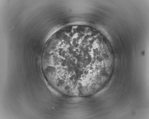 X0000089881425200707262201