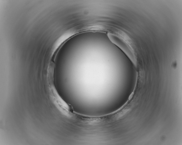 X0000089881426200707262201