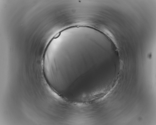 X0000089881428200707262201