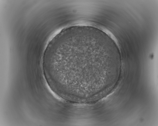 X0000089881429200707262201