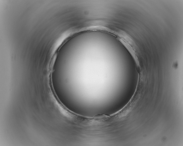 X0000089881430200707262201