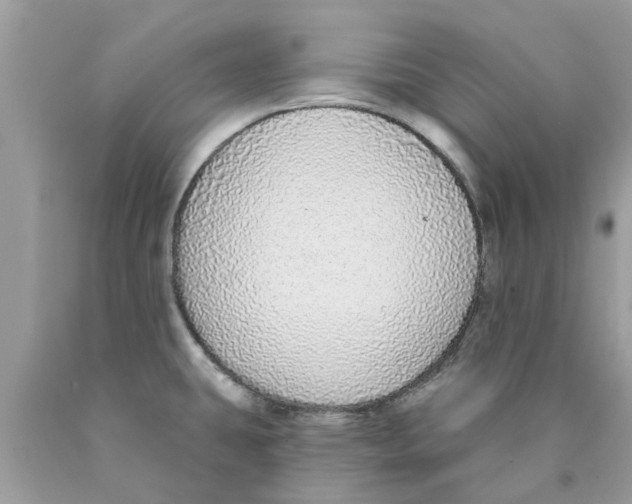 X0000089881431200707262201