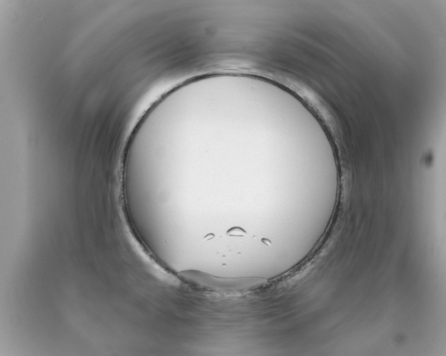 X0000089881432200707262201