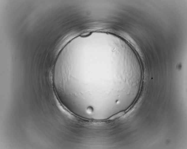 X0000089881433200707262201