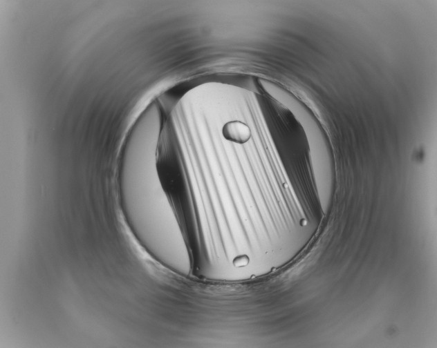 X0000089881434200707262201