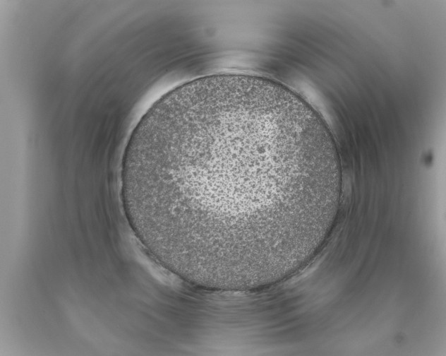 X0000089881435200707262201