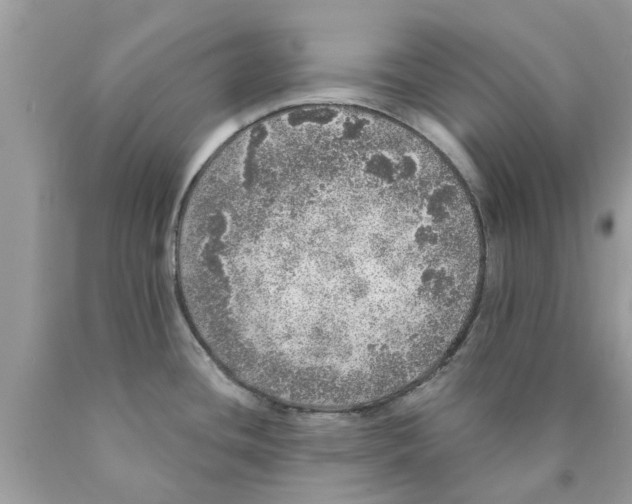 X0000089881436200707262201