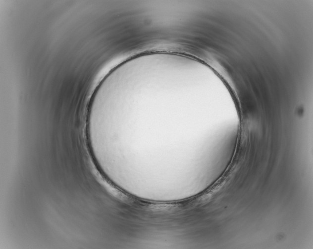 X0000089881437200707262201