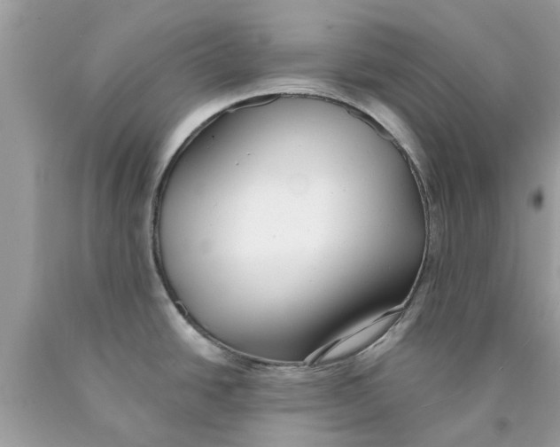 X0000089881438200707262201