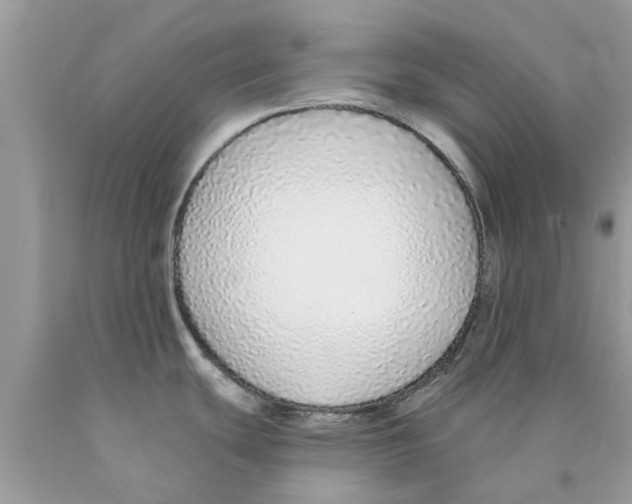 X0000089881439200707262201